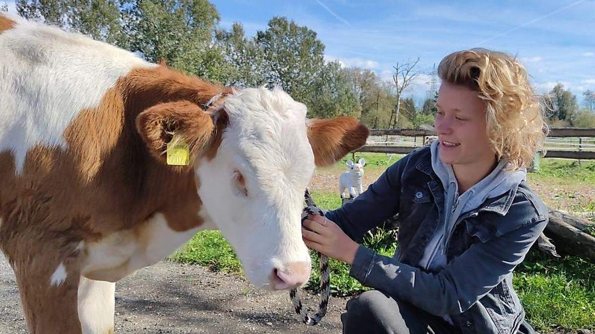 Dem Kälbchen Bibi und ihrer Lebensretterin Anna Schuierer (23) geht es wieder gut