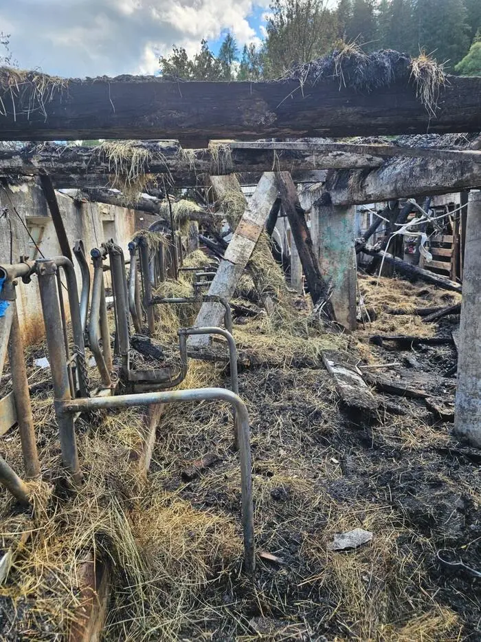 Im Inneren des abgebrannten Stalls zeigten sich die Folgen des Feuers