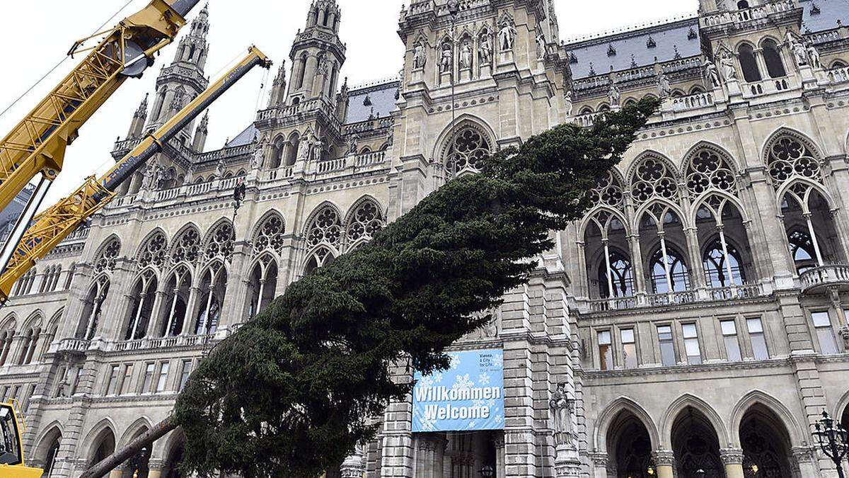 Seit 8. Dezember in Wien, heute wird er beleuchtet