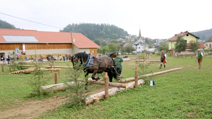 Um es gleich vorweg zu nehmen: Die frischgebackenen Europameister im Holzrücken mit Pferden sind in Deutschland und in der Tschechischen Republik zuhause. 