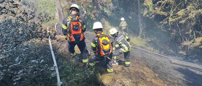 Feuerwehrkräfte löschen Waldbrand in Kärnten | Feuerwehr bekämpft Waldbrand in Kärnten