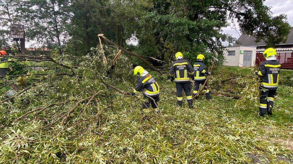 Mehrere Bäume hielten dem Sturm nicht Stand und mussten von der Feuerwehr beseitigt werden