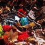 Naturgenuss mit nachhaltigen Folgen: Abfall als Zeugnis eines rücksichtslosen Umgangs mit der Umwelt 