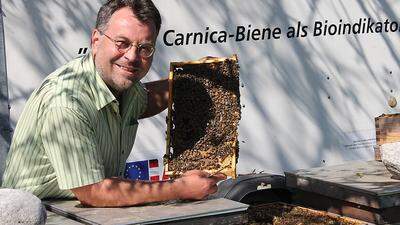 Ingo Schwarz beschäftigt sich seit 30 Jahren mit Bienen 