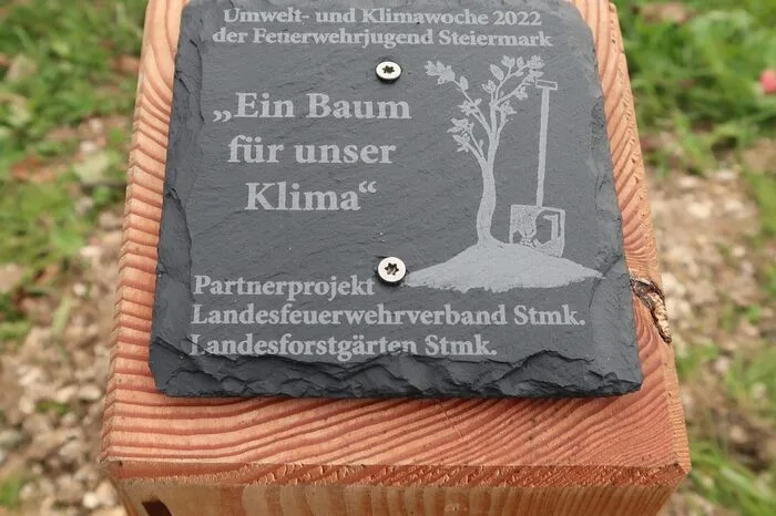 Ein nachhaltiges Zeichen der Jugend