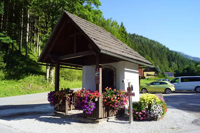Fünf Floras