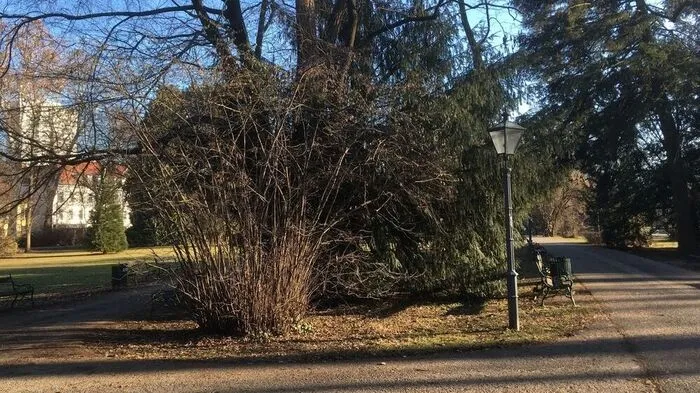 Auch der Grazer Stadtpark wird also zur "Schutzzone"