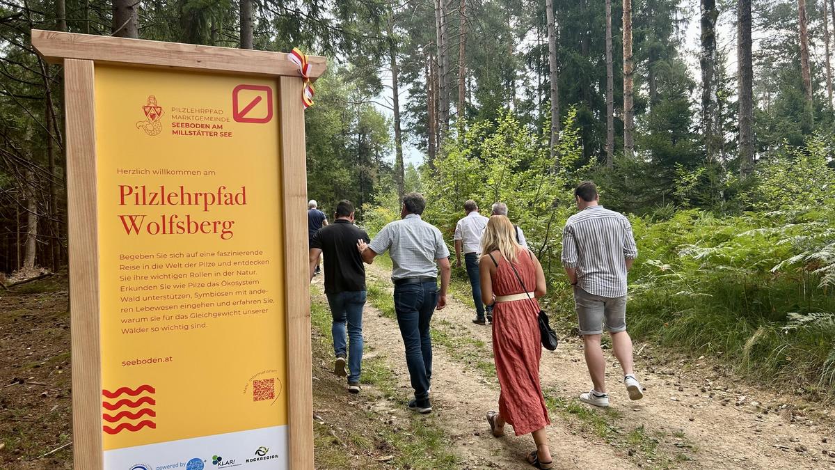 Am Wolfsberg befindet sich der erste Pilzlehrpfad Kärntens