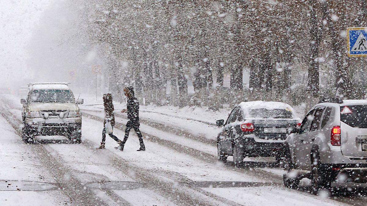 Im Winter sind Bäume der Witterung besonders stark ausgesetzt