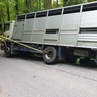 Archivbild: Der Viehtransporter kam in Nauders vom Forstweg ab und stürzte 70 Meter über steiles Gelände