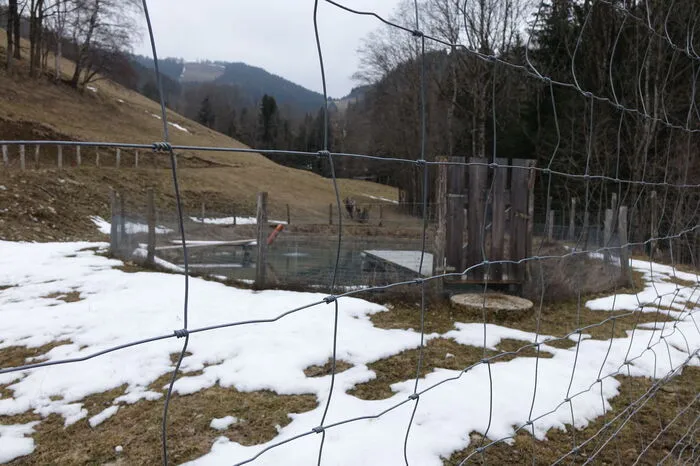 In diesem Jahr ist es geplant, zwei weitere Löschwasserbecken zu errichten.