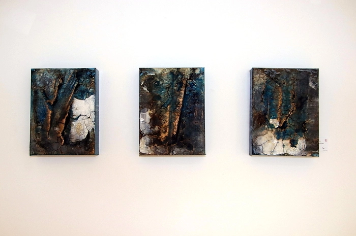 Marina Brandl, sie lebt in St. Ruprecht an der Raab, die Grazerin Allegra Wagner und der erst 19 Jahre alte Lukas Altrichter aus Stallhofen haben zur gemeinsamen Ausstellung "IntergenerARTionell" zusammengefunden.