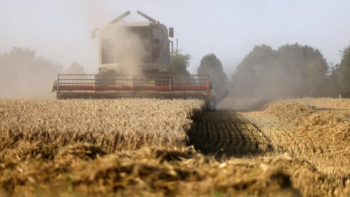 Für das Getreide war es ein sehr schlechtes Ernte-Jahr