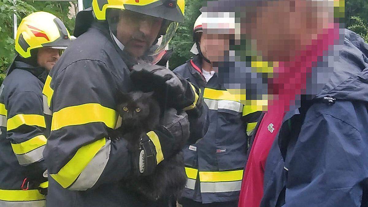 Die Kameraden der Pischelsdorfer Feuerwehr holten &quot;Mietzi&quot; zurück auf den Boden