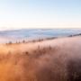 Hochnebel und Sonne liegen auch die kommenden Tage im Wettstreit 