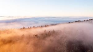 Hochnebel und Sonne liegen auch die kommenden Tage im Wettstreit 