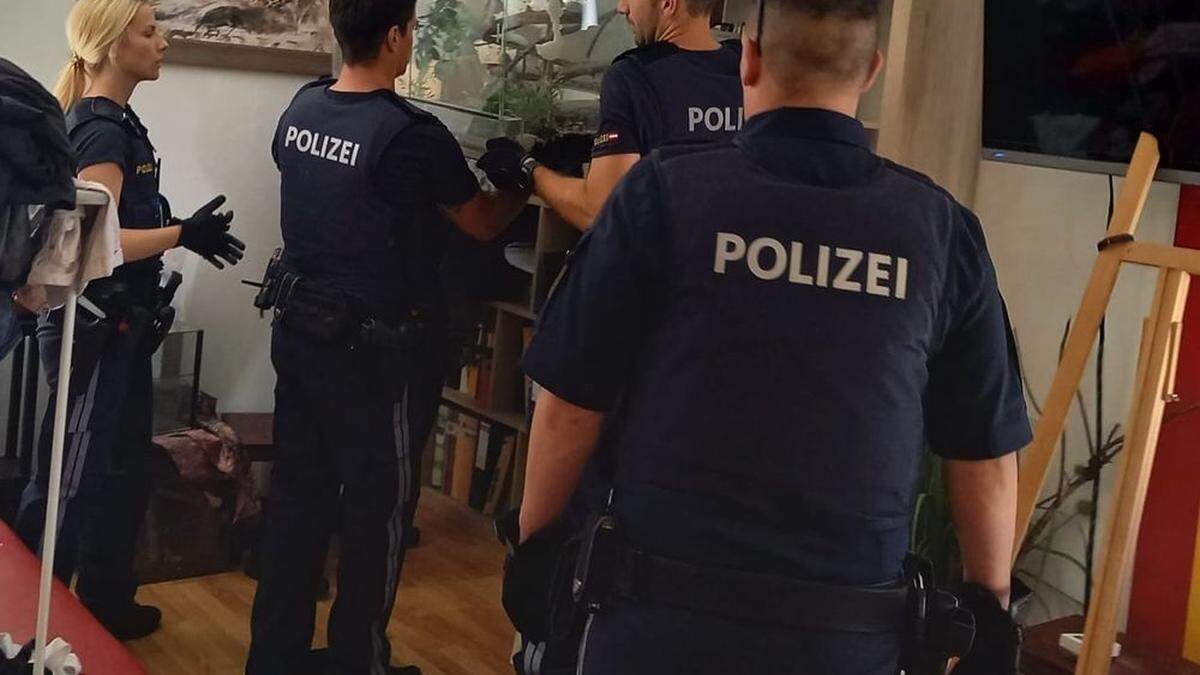 Zehn Giftschlangen und drei Vogelspinnen. Diese erschreckende Entdeckung machten Polizisten am Donnerstag in einer Wohnung in Klagenfurt