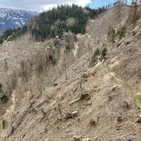 Auch auf vielen Hängen rund um Lienz ließ der Borkenkäfer kaum einen Baum stehen