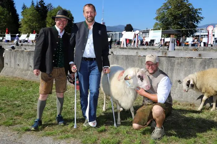 Am Foto von links: Günther Thimet (Organisator der einzelnen Standler), Stefan Siutz (Obmann Schafzuchtverband Feldkirchen) und Hauptorganisator Marius Treffner mit seinem Schaf „Toni“.