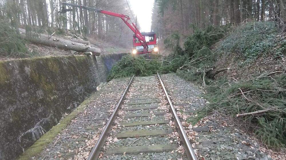 Umgestürzte Bäume werden vom Gleiskörper entfernt