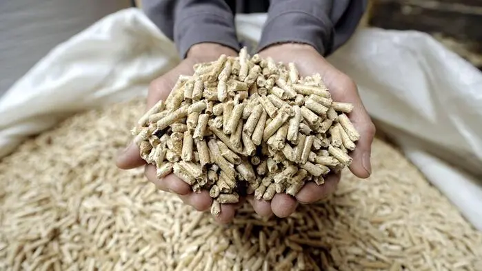 Pellets