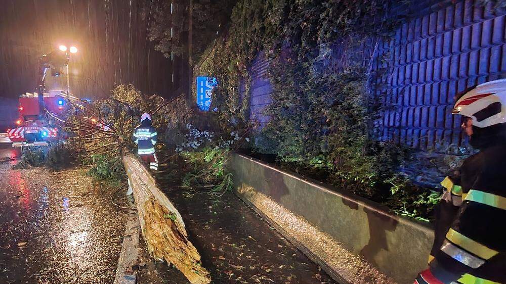 Auf der A 2 bei Gleisdorf prallen zwei Fahrzeuge in die umgestürzten Bäume