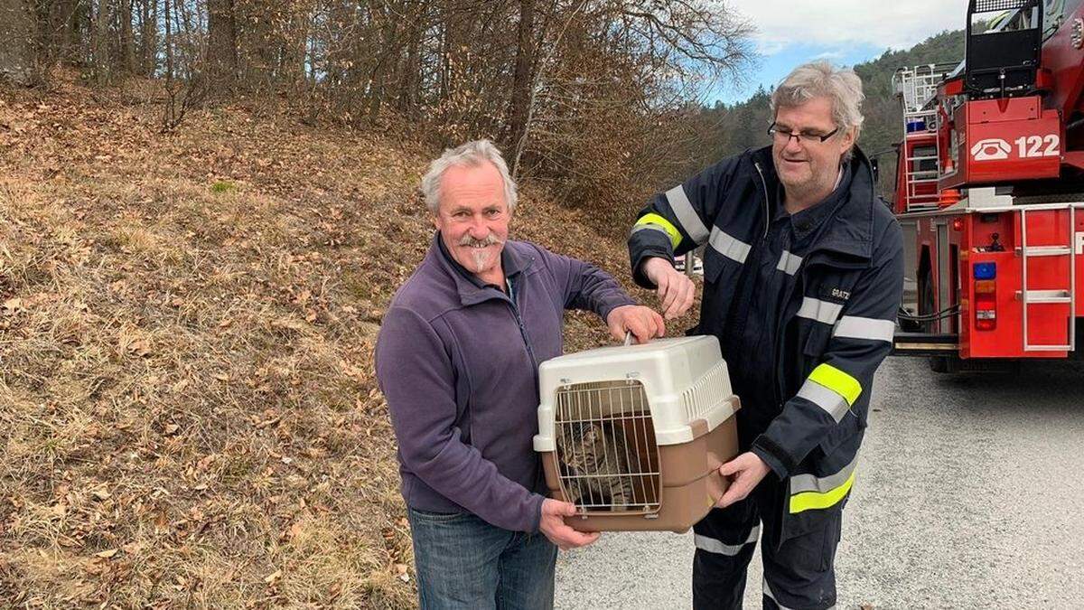 Die Katze konnte wohlauf an den erleichterten Besitzer übergeben werden