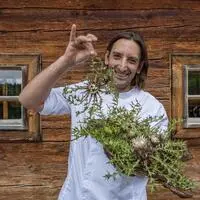 Von der Alm direkt in die Küche von Dominik Utassy: die Silberdistel im Rampenlicht.