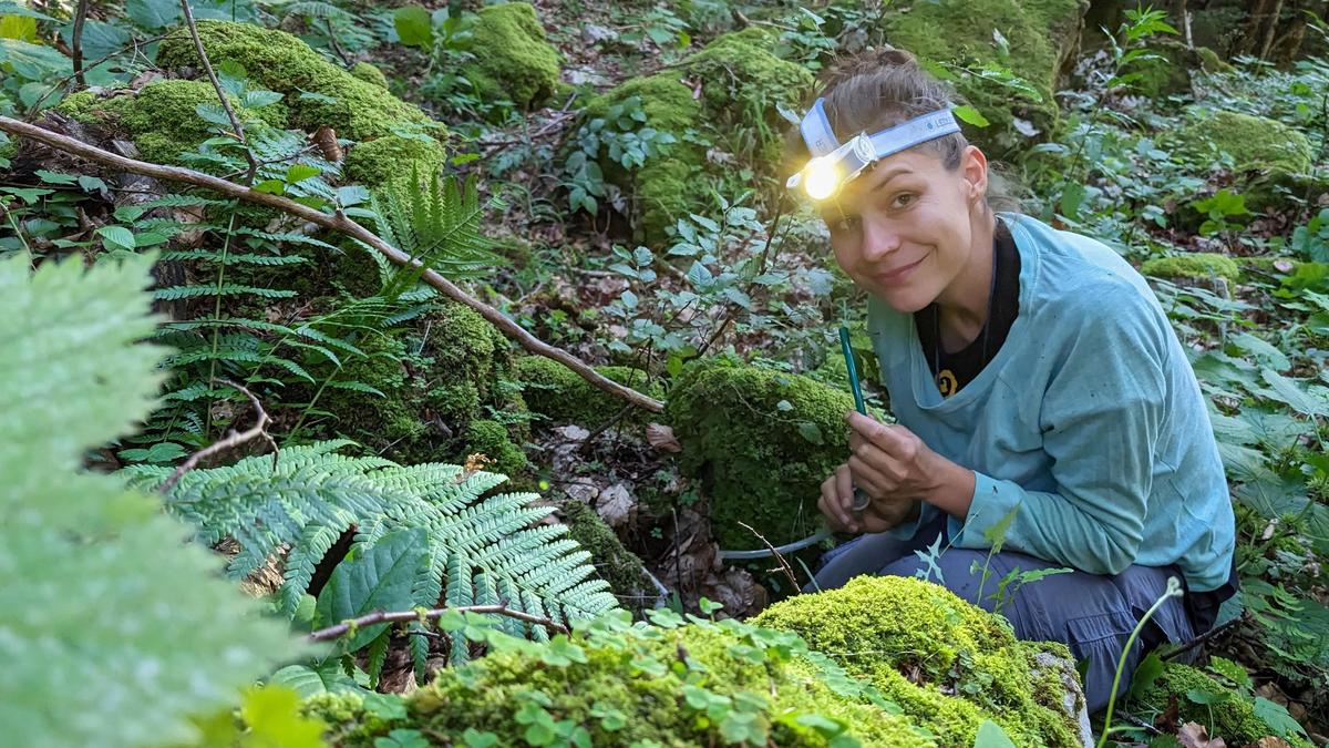 An die 90 Personen haben den Geopark Karawanken unter die Lupe genommen