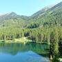 Immer mehr Menschen entscheiden sich für eine Naturbestattung wie hier im Klosterwald Ingeringsee  