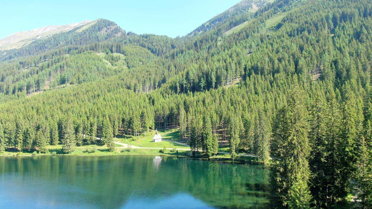 Immer mehr Menschen entscheiden sich für eine Naturbestattung wie hier im Klosterwald Ingeringsee  