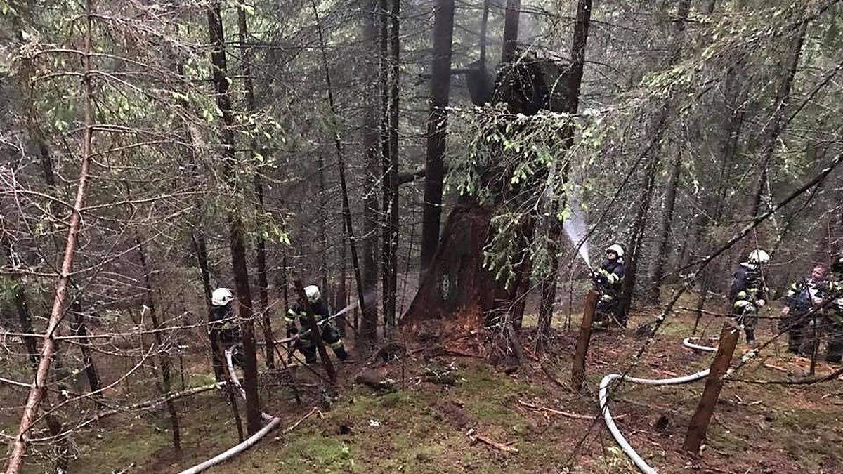 Ein Baumstamm hatte durch Blitzschlag Feuer gefangen