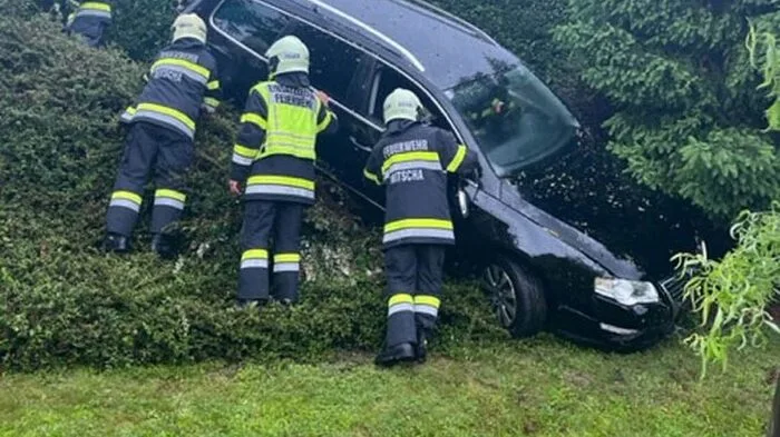 Elf Kameradinnen und Kameraden der Freiwilligen Feuerwehr (FF) Nitscha wurden am Montagnachmittag um 14.31 Uhr nach Kaltenbrunn, Gemeinde Nitscha gerufen.