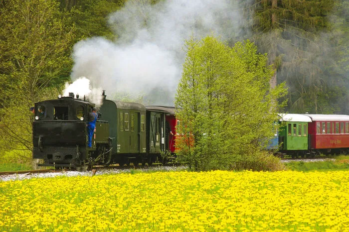 Bahnerlebnis Steiermark, also die Dachorganisation, unter der der Stainzer Flascherlzug, die Museumstramway Mariazell, die Feistritztalbahn und vielen mehr zusammengefasst sind, bewegte 2017 159.792 Besucher.