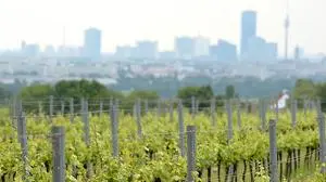 Ziemlich verschwommen: Die Suche nach Oligarchen-Vermögen ist auch, aber nichtz nur in Österreich einigermaßen schwierig.