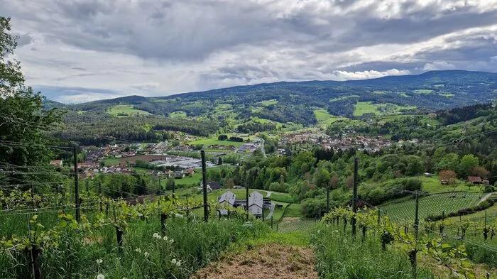 Blick vom Dietenberg, auf dem sich einst Wehrbauten befanden, auf Ligist
