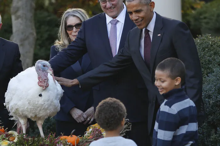 US-Präsident Barack Obama hat zum letzten Mal in seiner Amtszeit die Tiere "Tot" und "Tater" damit unmittelbar vor dem Thanksgiving-Fest vor dem sicheren Tod bewahrt.