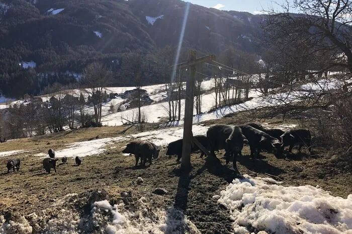 Klicken Sie sich durch die Bilder!