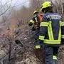 110 Hektar Wald wurden von den Flammen zerstört