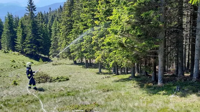Seit Mai gibt es im Bezirk Voitsberg die neue Feuerwehr-Sondereinheit "Waldbrand BFV Voitsberg".