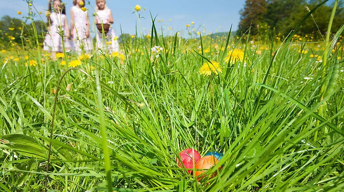 Die Suche der Nesterl gehört zu Ostern dazu