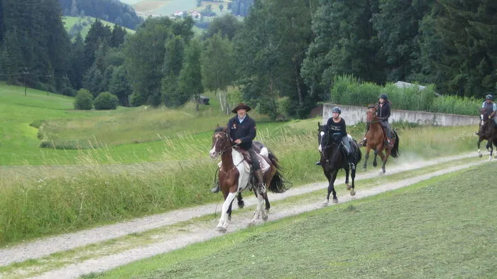 Thomas Holzweber vom Reiterhof Heimelsteiner führt die Wanderreitgruppe fünf Tage lang auf den schönsten Wegen durch das Mühlviertel in Oberösterreich.
