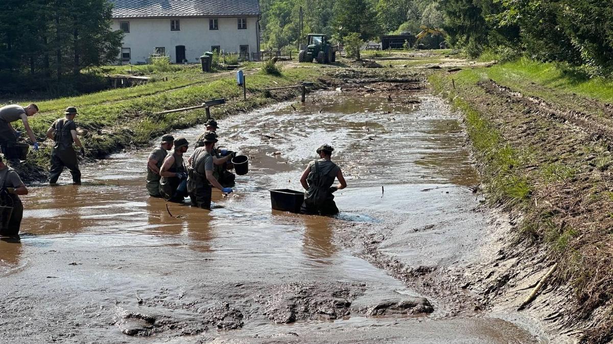 In verschlammten, ehemaligen Fischbecken suchen die Soldatinnen und Soldaten des Fliegerabwehrbataillons 2 aus Zeltweg nach toten Fischen