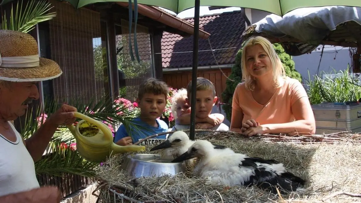 Sabine Gass bei der Storchenstation von Helmut Rosenthaler in Tillmitsch