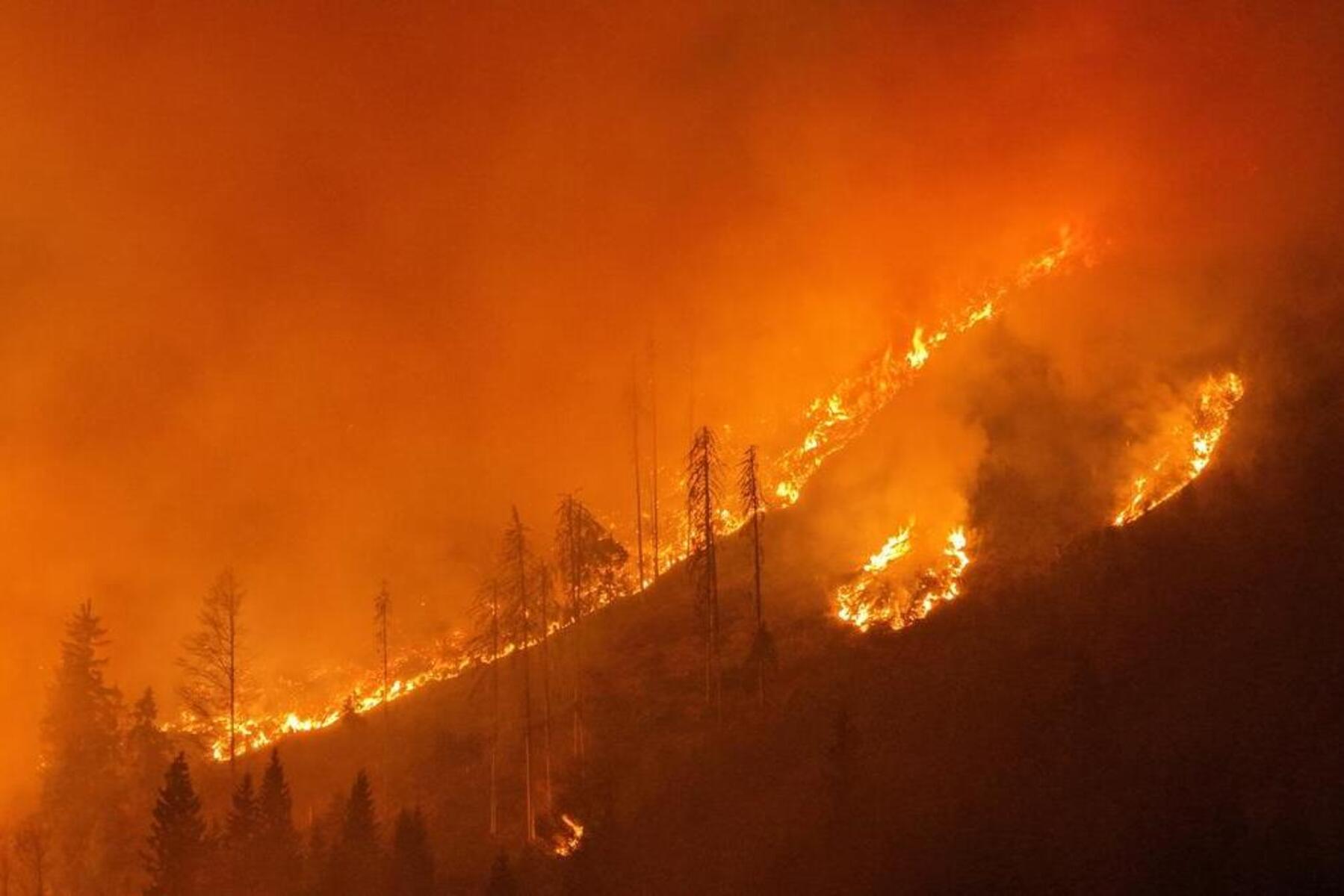 Kärnten: Zwölf Feuerwehren bekämpfen seit Donnerstag Waldbrand