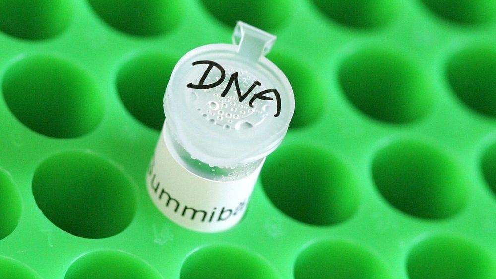 59 Männer mussten zum DNA-Test
