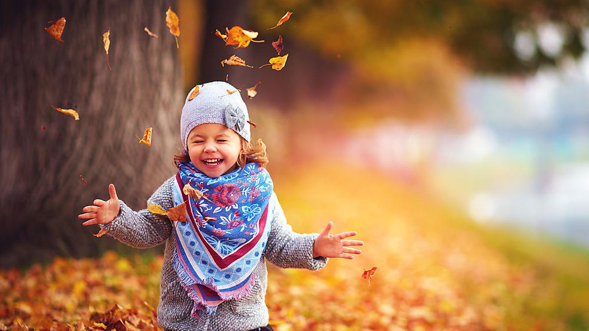 Was für ein Sonnenschein im herbstlichen Laub!