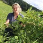 Biobäuerin Elisabeth Flödl kämpft auf ihrem Acker in St. Michael gegen den Knöterich