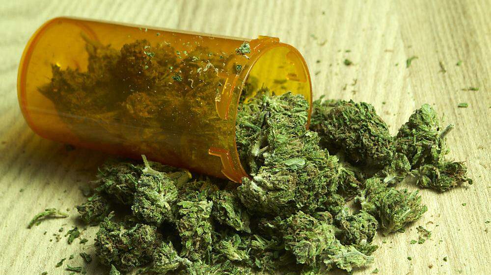 Weizer Suchtgiftermittler konnten wieder einmal Marihuana sicherstellen