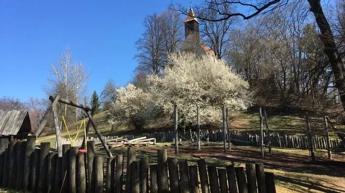 Schönen Palmsonntag!